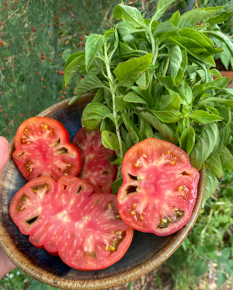 Best Organic Heirloom Tomatoes in Adelaide