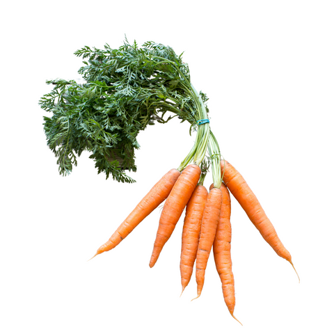 Organic Carrots Bunch