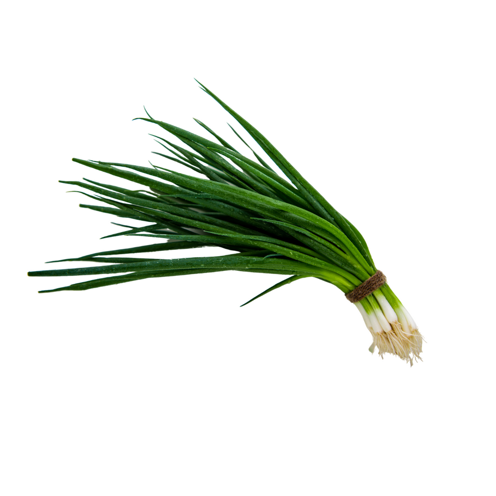 Spring Onion Certified Organic bunch – The Simple Market